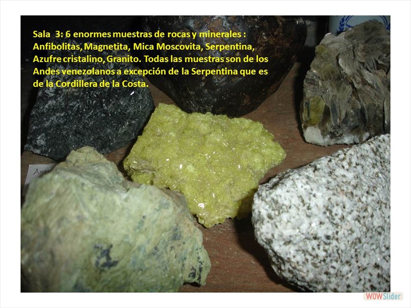 Diapositiva10