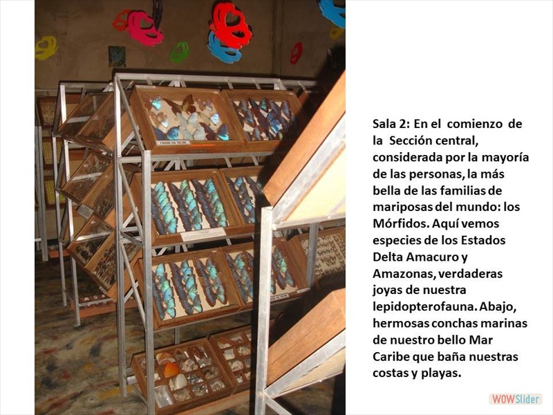 Diapositiva12