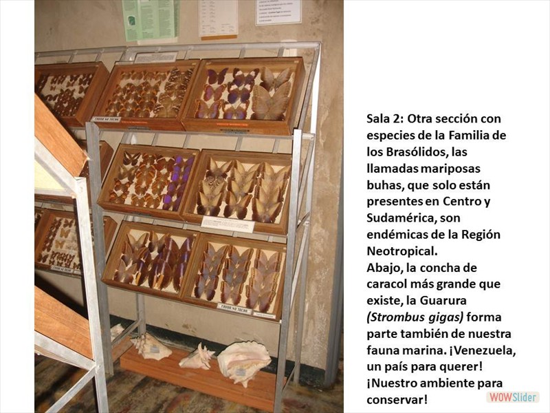 Diapositiva14