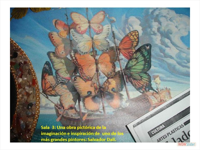 Diapositiva14