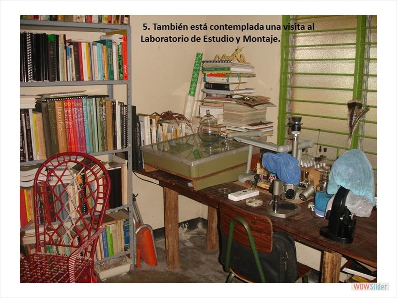 Diapositiva16