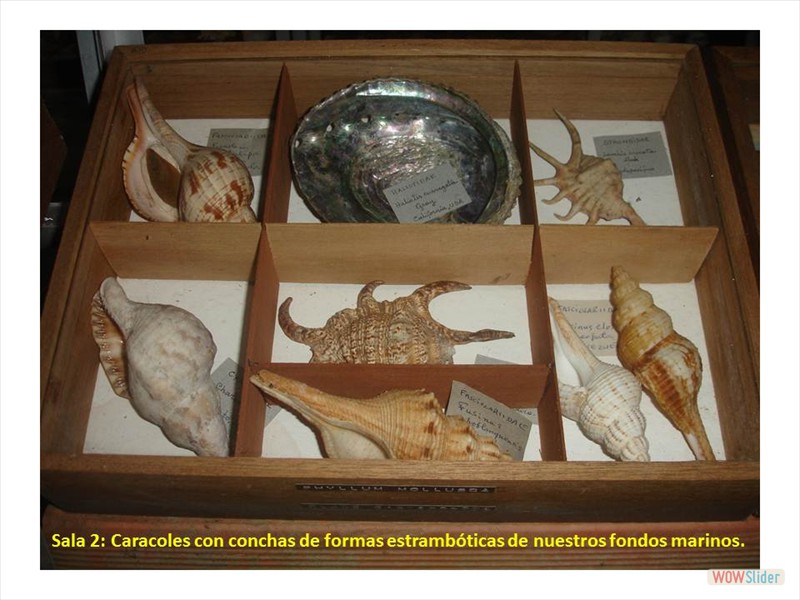 Diapositiva18