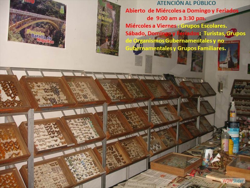 Diapositiva2