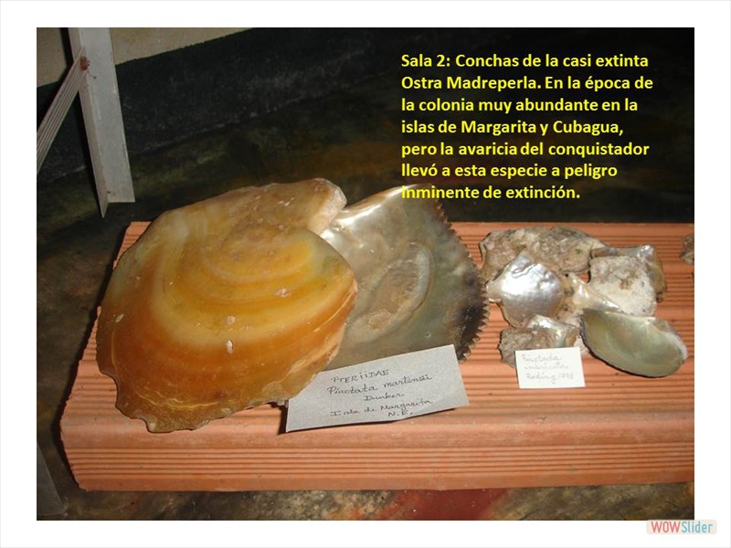Diapositiva20