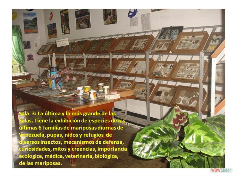 Diapositiva2