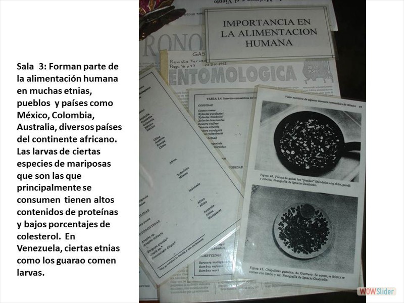 Diapositiva2