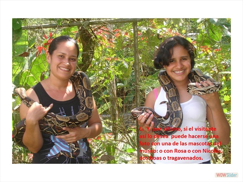 Diapositiva2