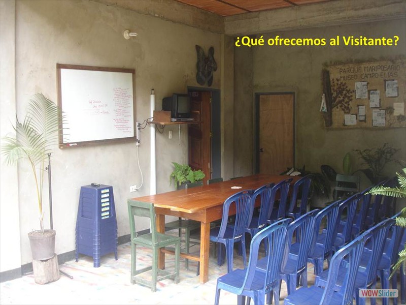 Diapositiva3