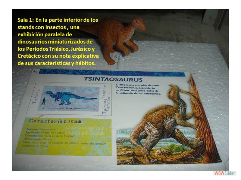 Diapositiva3
