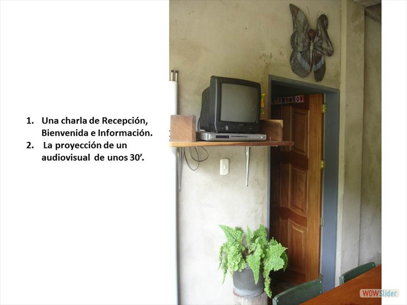 Diapositiva4
