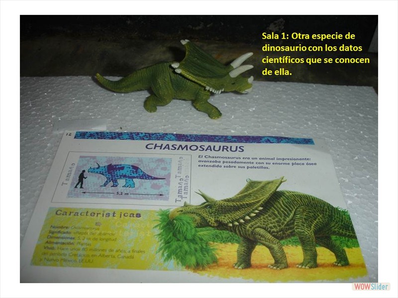 Diapositiva4