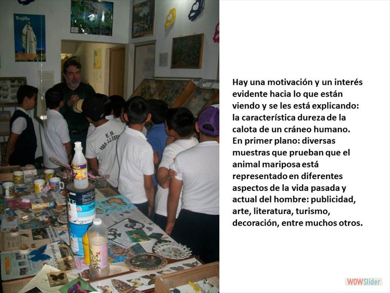 Diapositiva4