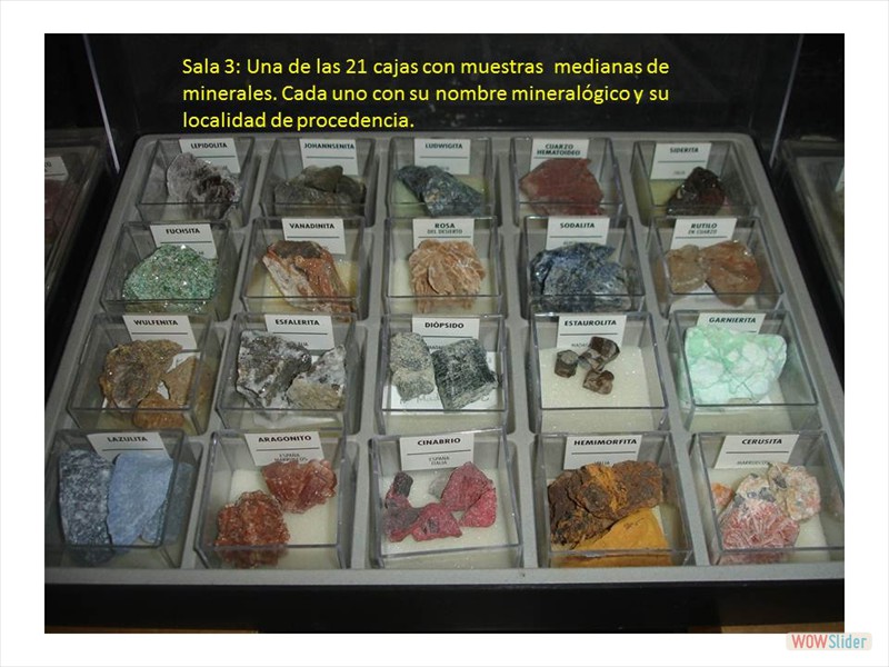 Diapositiva4