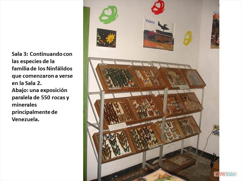 Diapositiva5