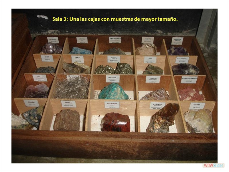 Diapositiva5