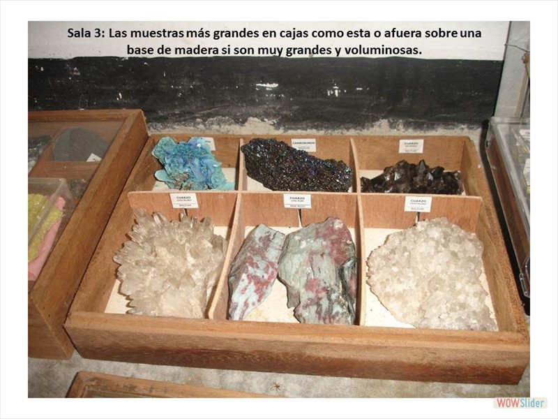 Diapositiva6