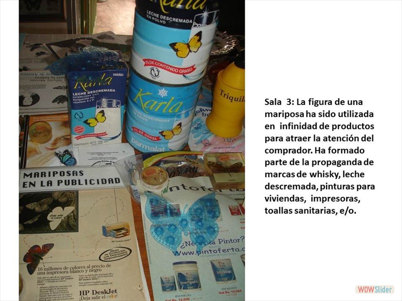 Diapositiva6