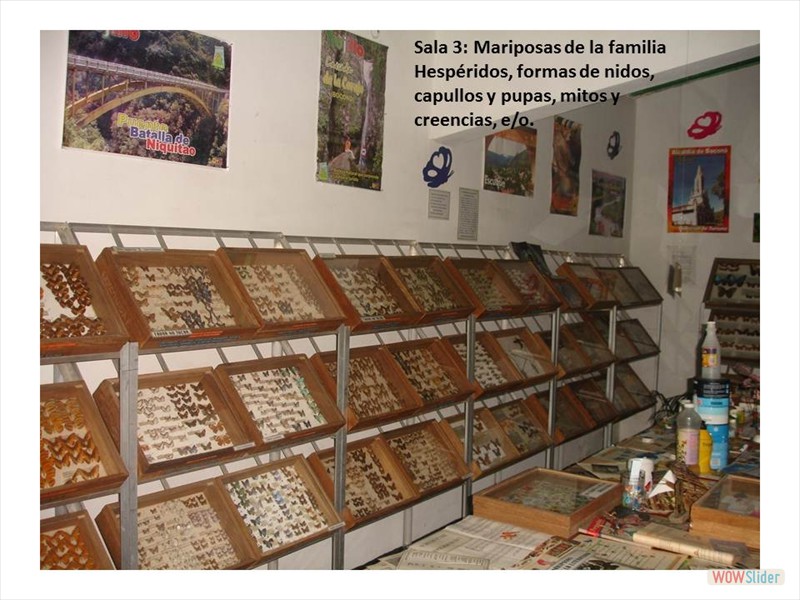 Diapositiva7
