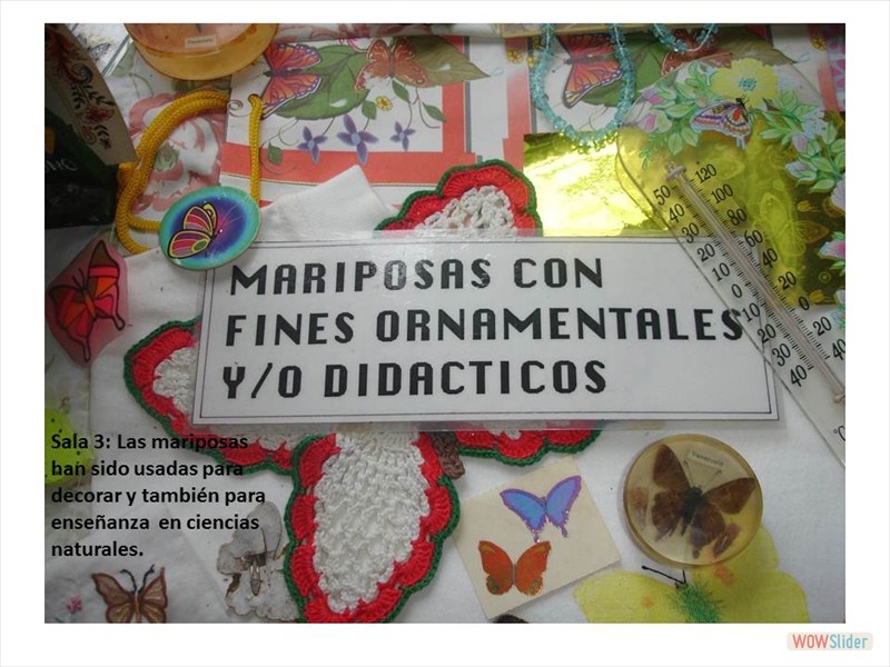 Diapositiva8