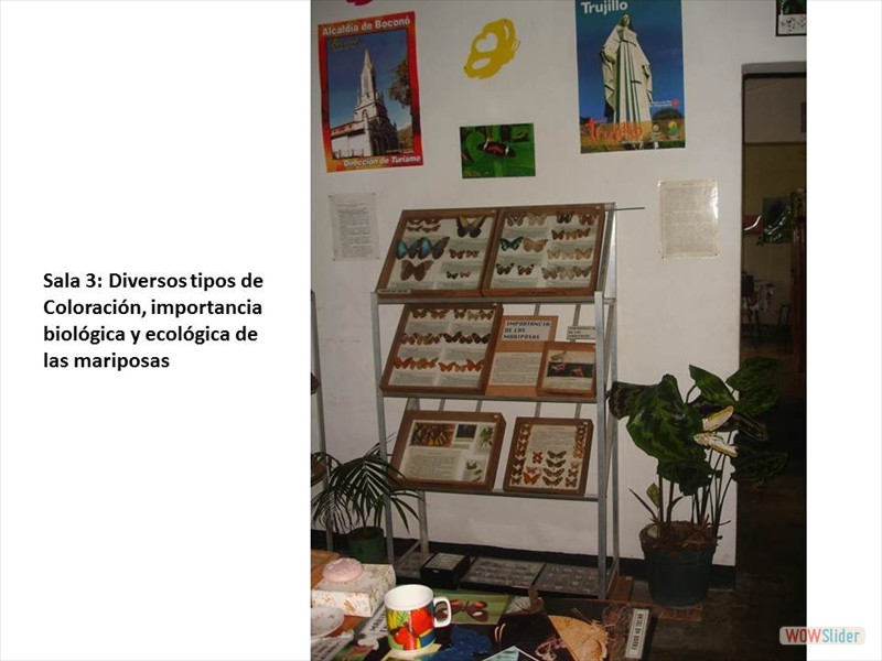Diapositiva9